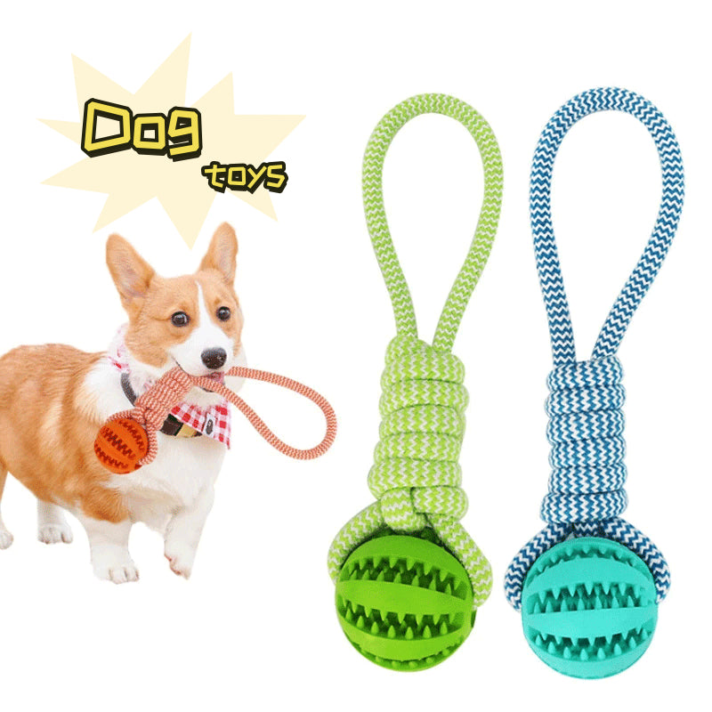 Rope and Ball Toy