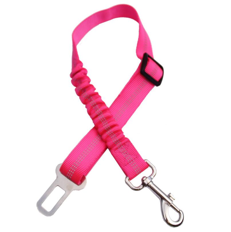 Seat Belt Leash