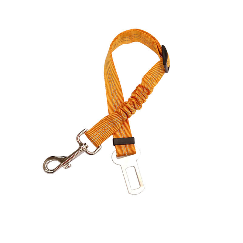 Seat Belt Leash