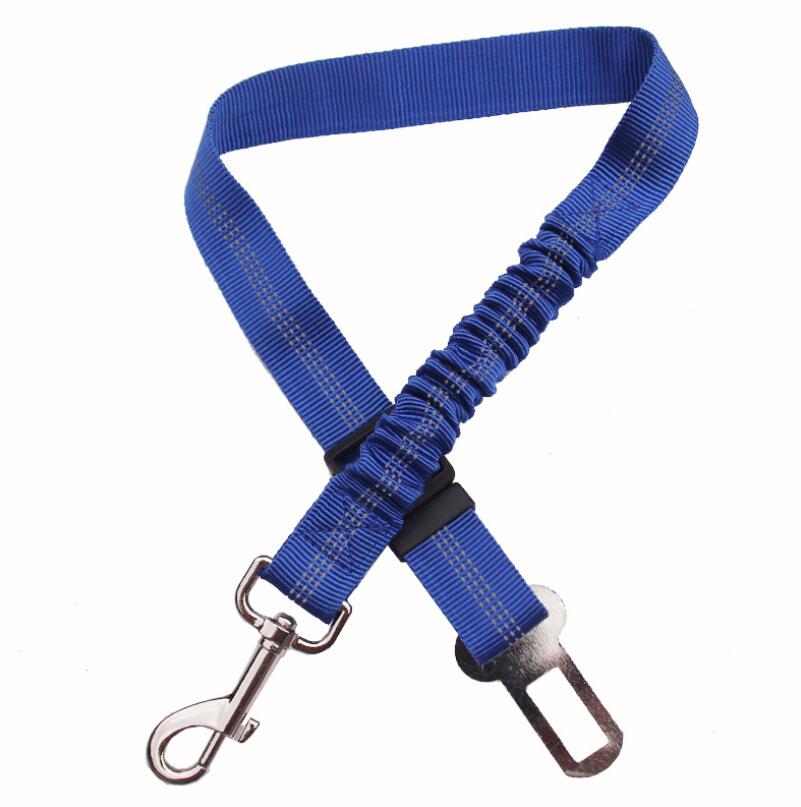 Seat Belt Leash