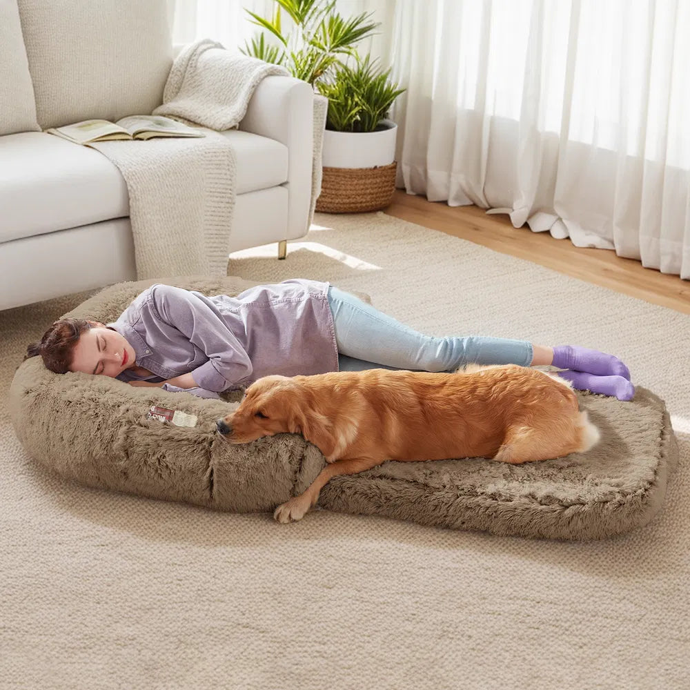 2-in-1 Flip Open Dog Bed