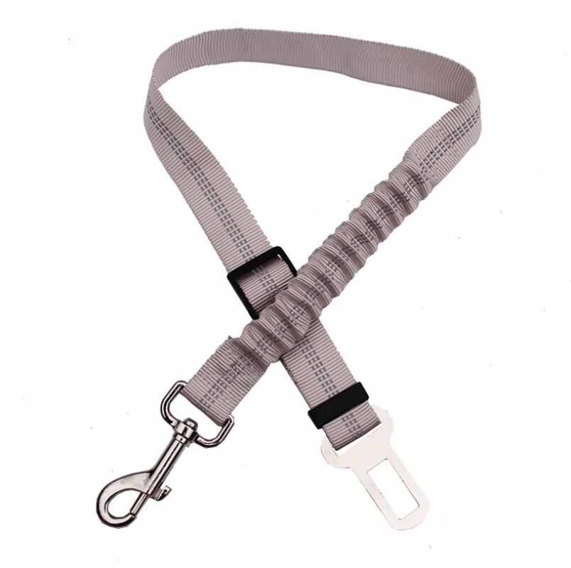 Seat Belt Leash
