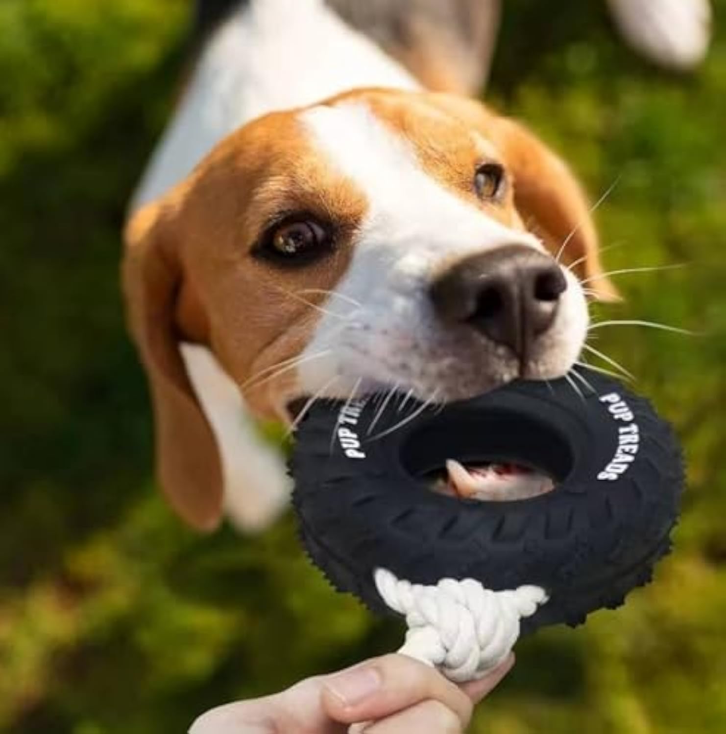 Durable Tire Chew Toy