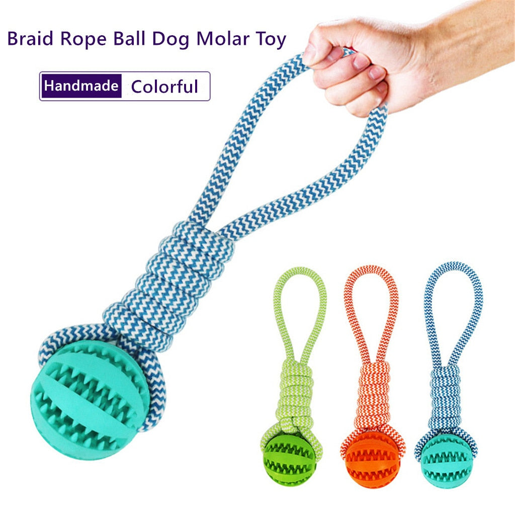 Rope and Ball Toy
