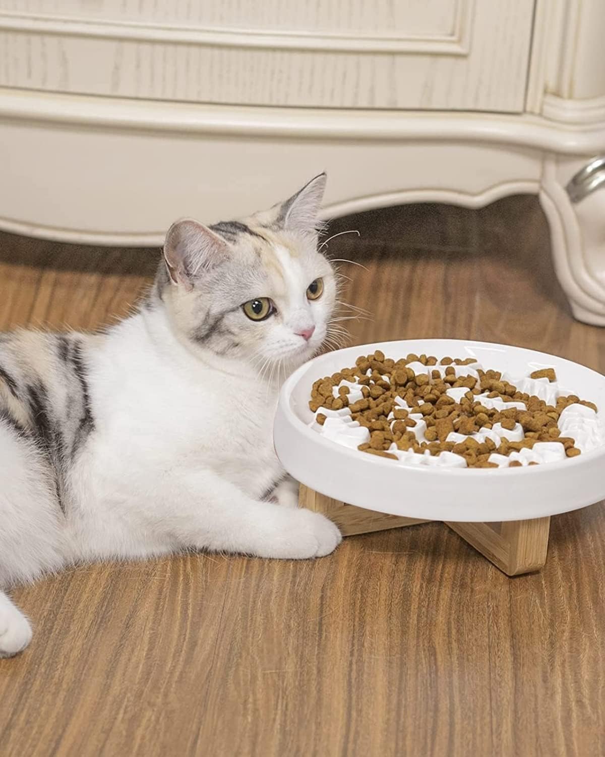 Ceramic Cat Slow Feeder