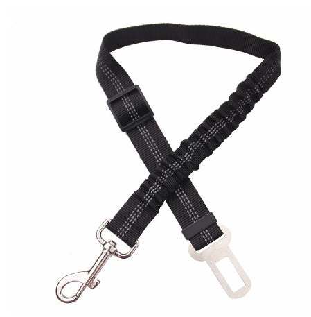Seat Belt Leash