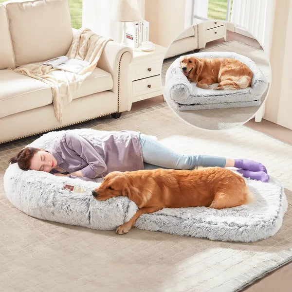 2-in-1 Flip Open Dog Bed