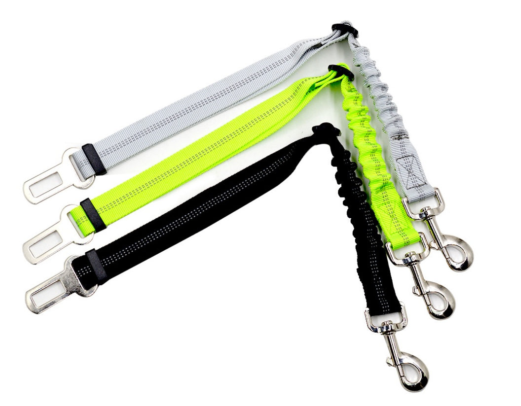 Seat Belt Leash