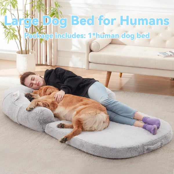 2-in-1 Flip Open Dog Bed