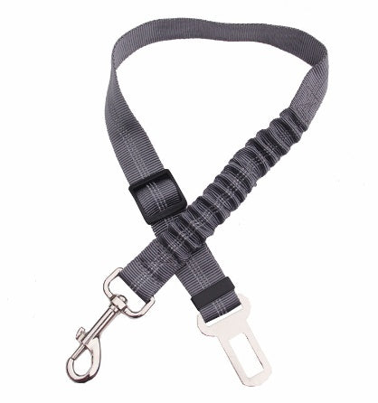 Seat Belt Leash