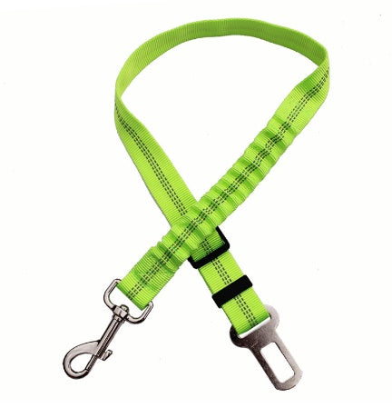 Seat Belt Leash